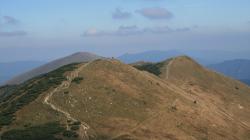 2011 Fatra veselá
