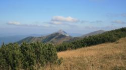 2011 Fatra veselá